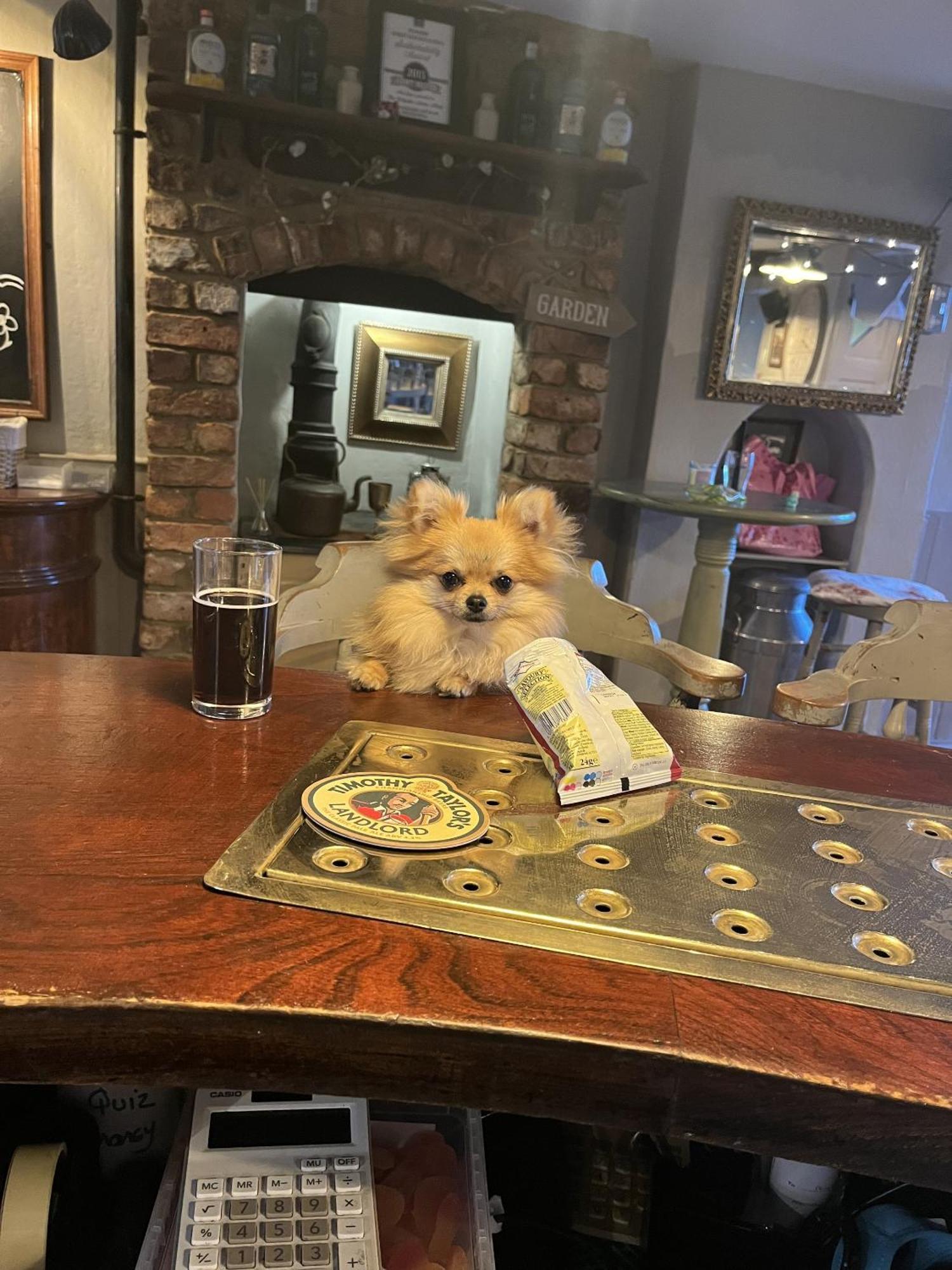 The Ilchester Arms Hotel Abbotsbury Esterno foto